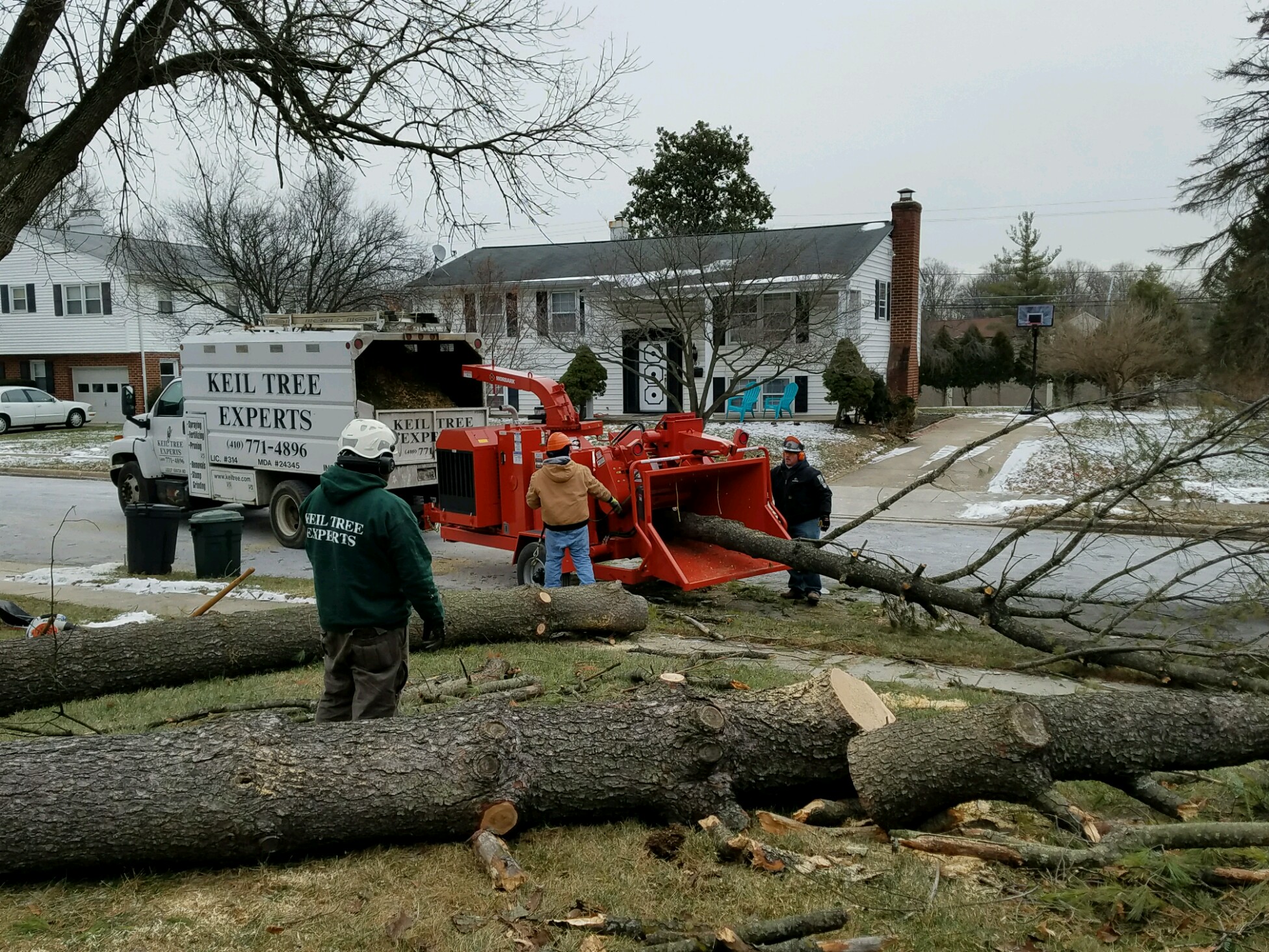 All Tree Trimming Companies Aren’t Created Equal