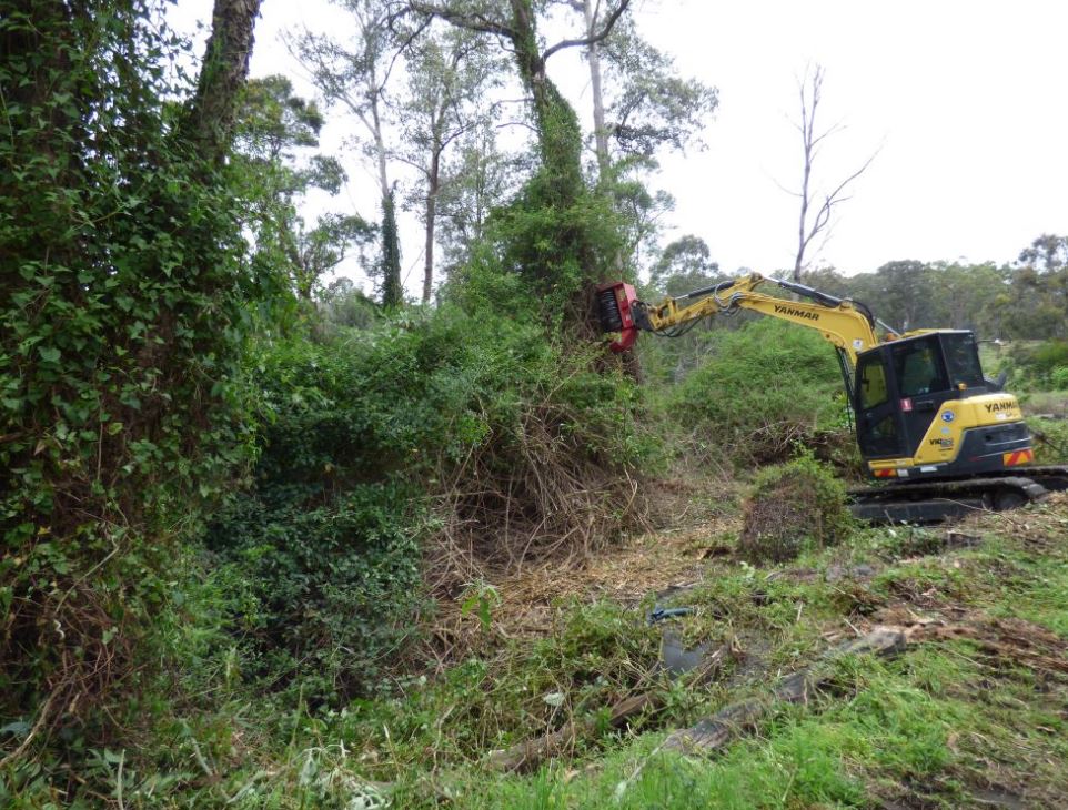 How The Skilled Workers Do The Process Of Lantana Removal