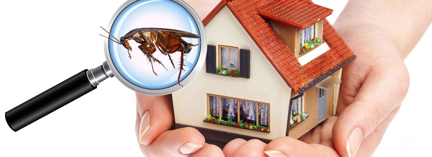 Pest Infestation Control and Management