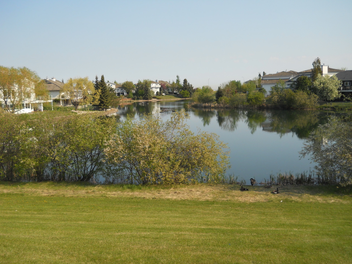 Why You Should Have a retention basin Support