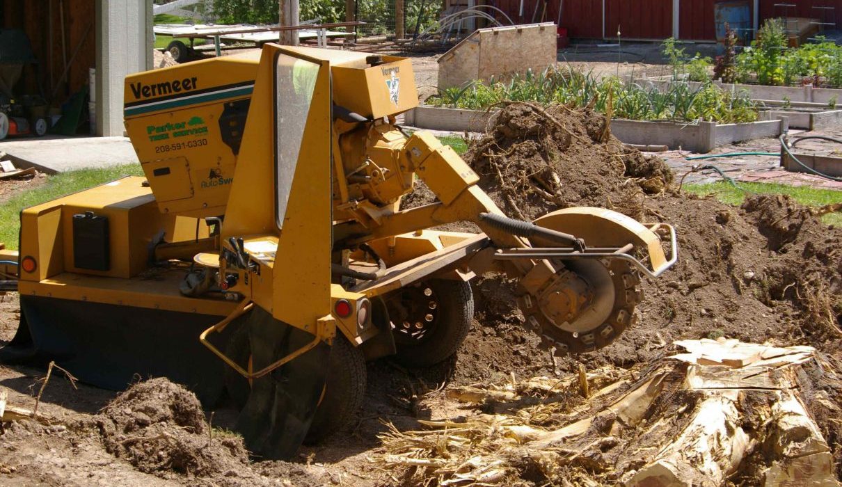 Tips to Pick the Specialist for Stump Grinding Penrith