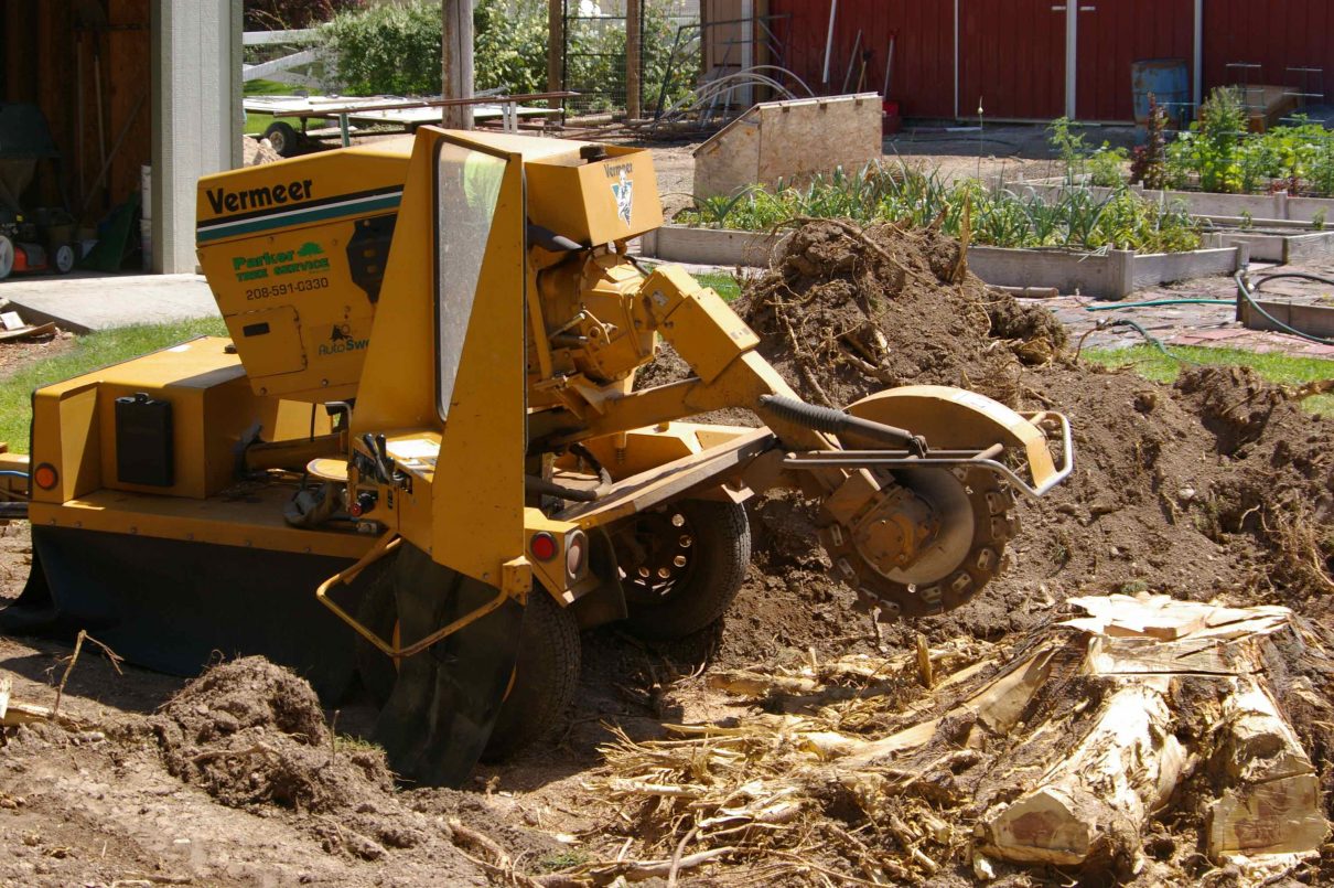 Stump Grinding Penrith