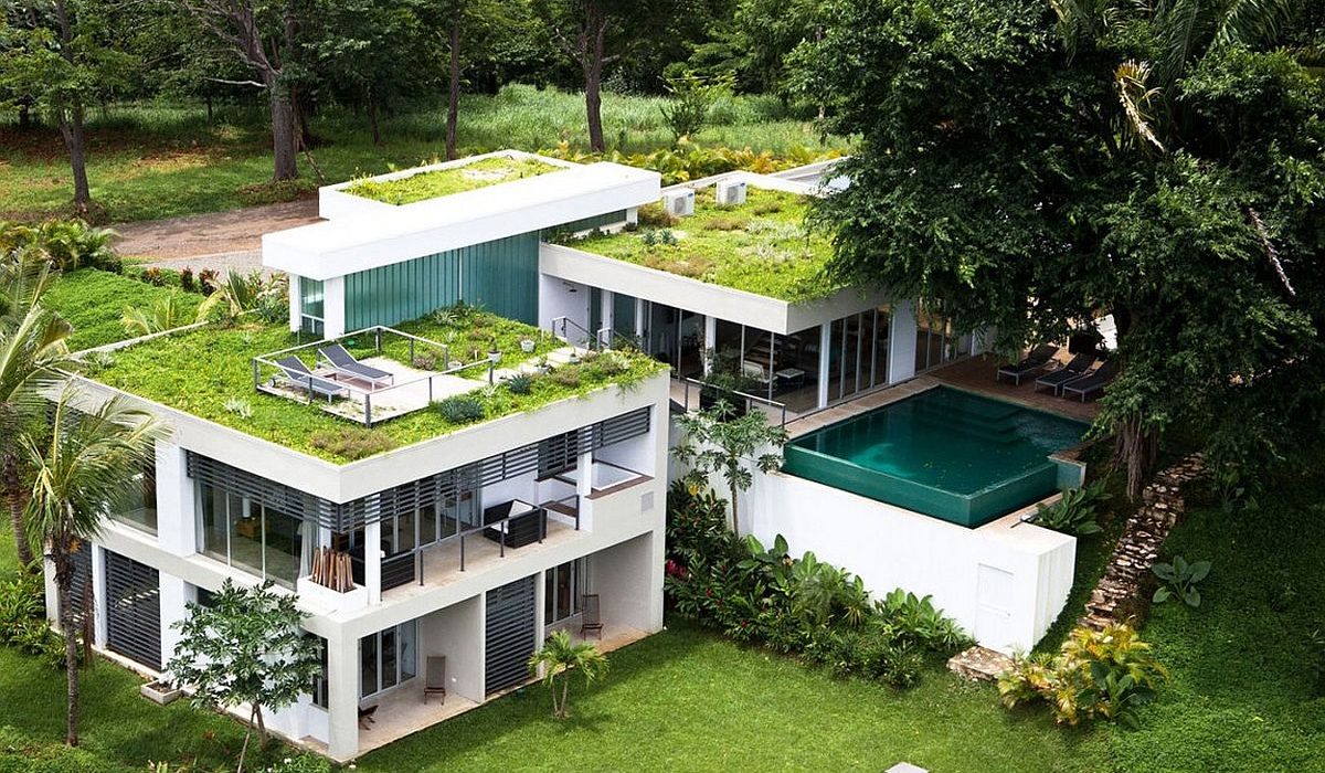 Is Green Roofing the Best Roofing Choice in Australia?