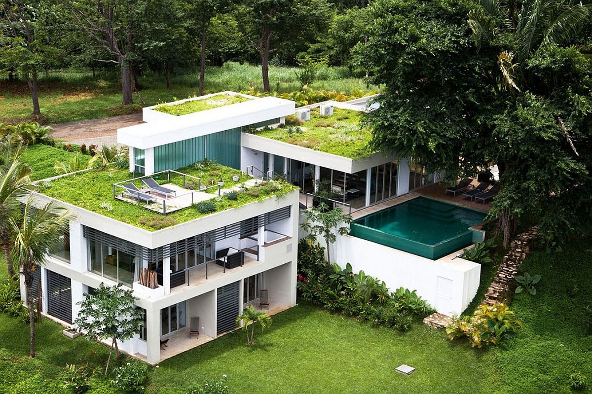 Green roof Australia