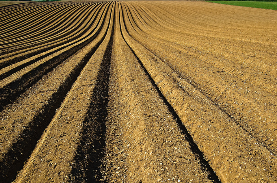 Carbon farming