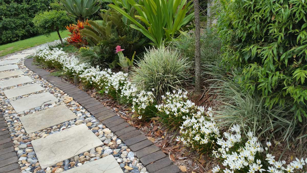 Learn About Landscaping Tweed Heads