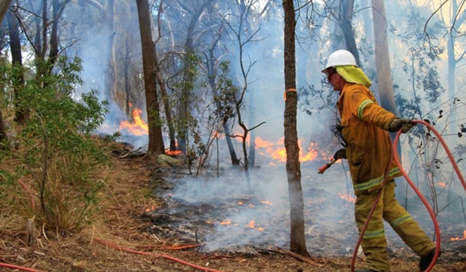 bushfire management plan