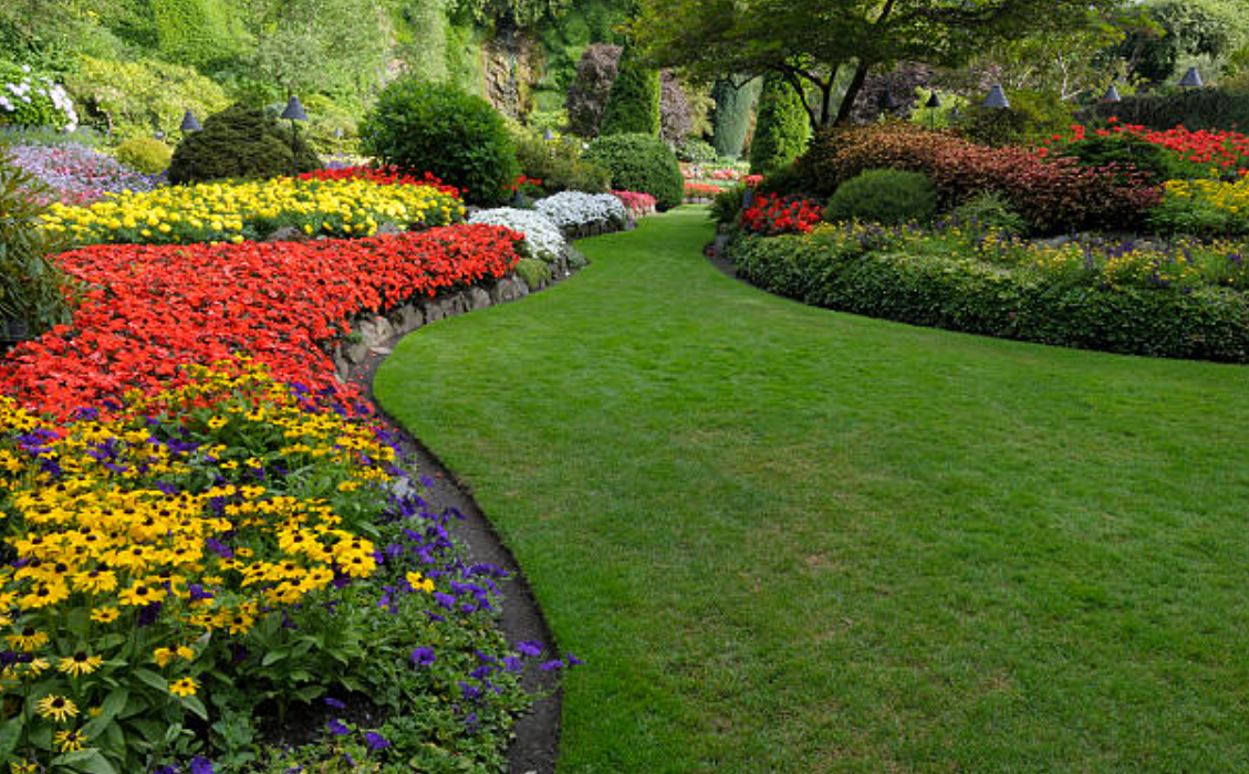 How Do You Choose An Ideal Landscaping?