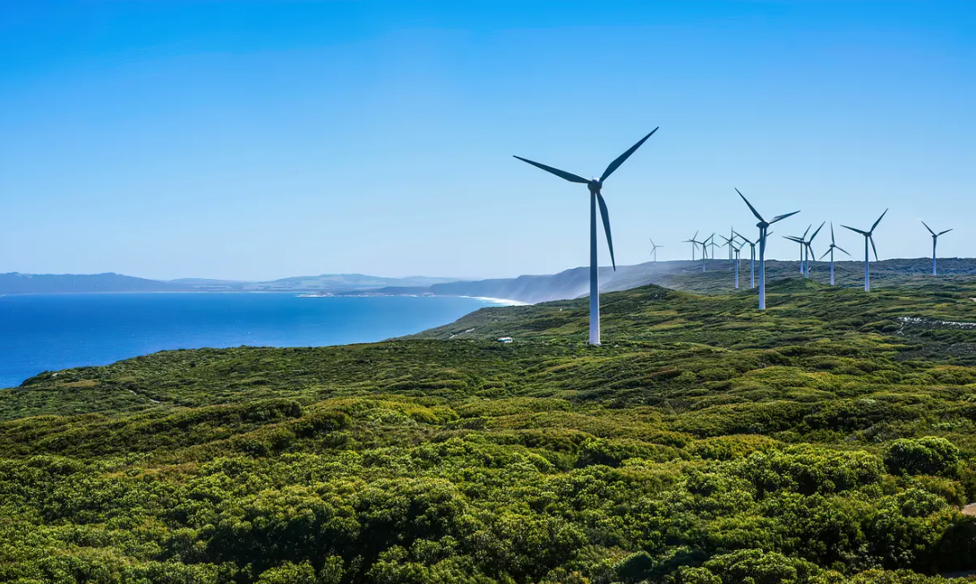 Offset Revegetation For Wind Farm in Brisbane