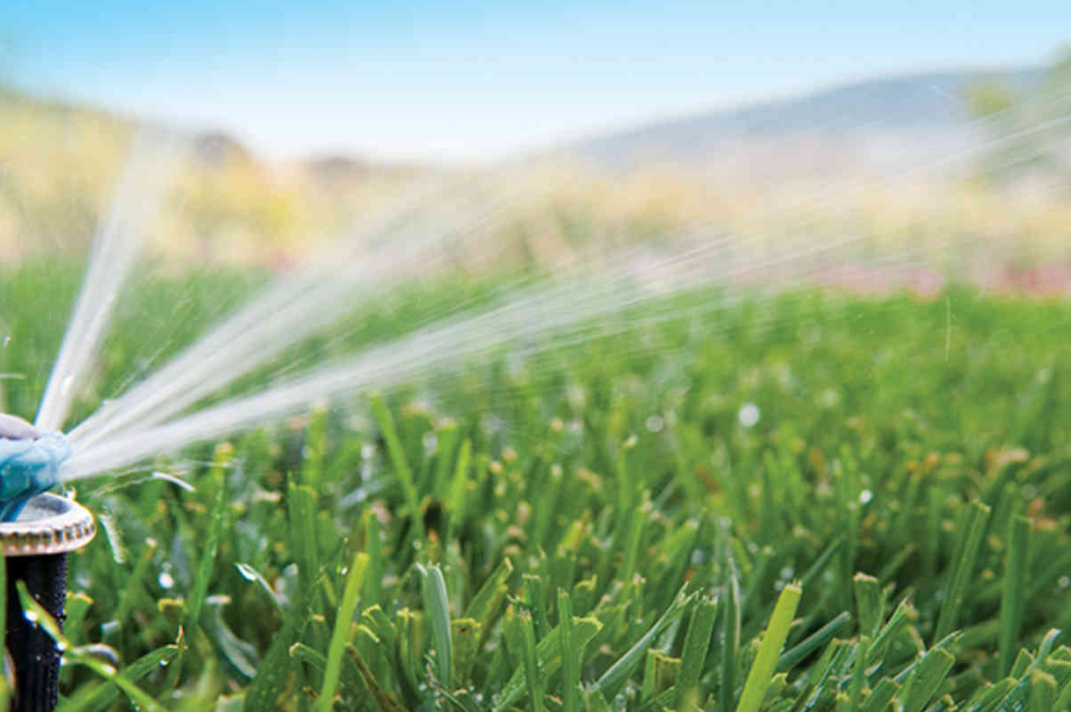 8 Benefits of Irrigation Systems in Brisbane