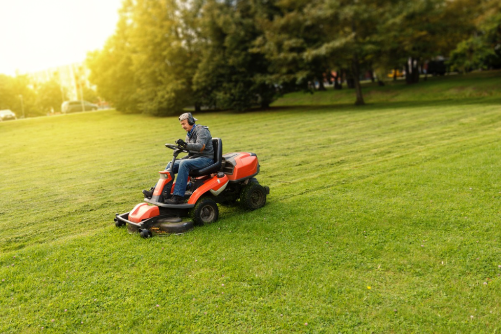 landscaping lawn mowing