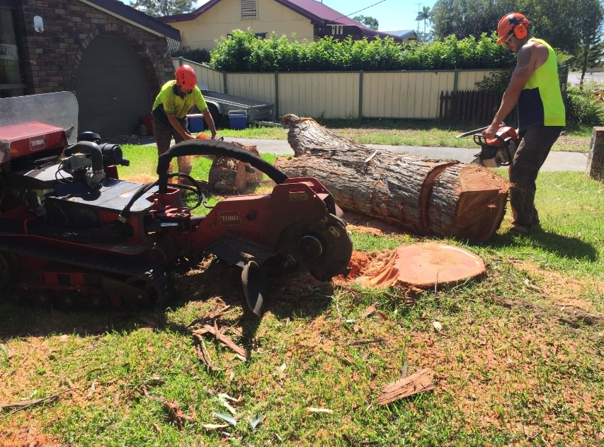 Uncovering 5 Key Purposes of Mulch in Gold Coast Gardens