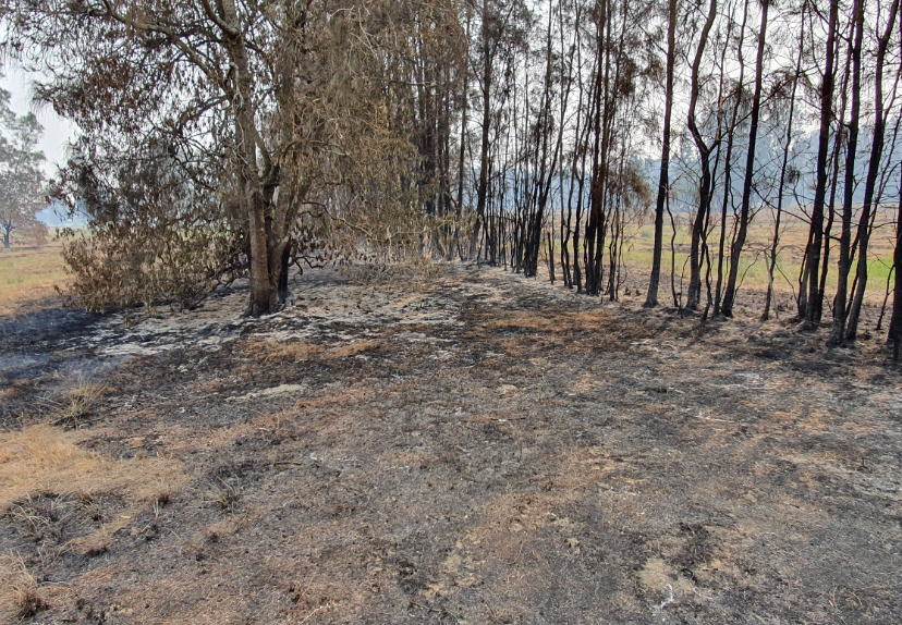 bushfire hazard assessment