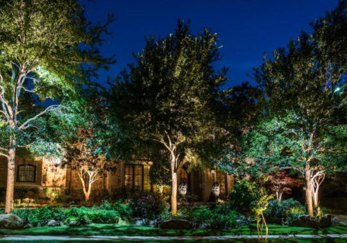 Types of Landscape Lighting for Your Garden