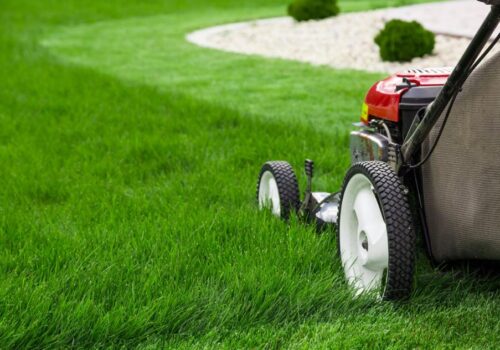 What do You need to know about Lawn Mowing in Northern Beaches