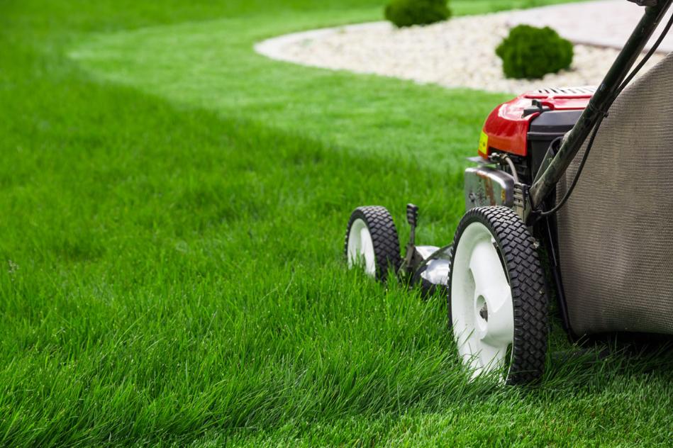 What do You need to know about Lawn Mowing in Northern Beaches