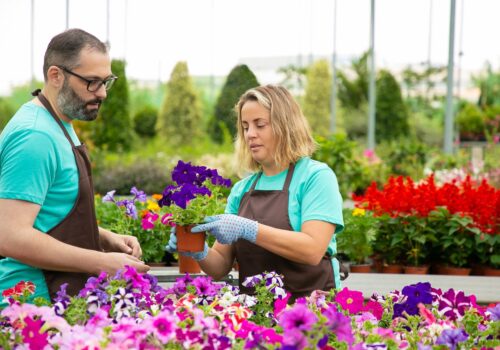 Understanding the Responsibilities of Gardening Experts