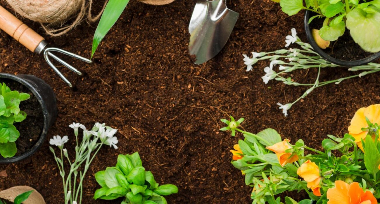 Why Professional Services for Mulch on the Gold Coast Make All the Difference