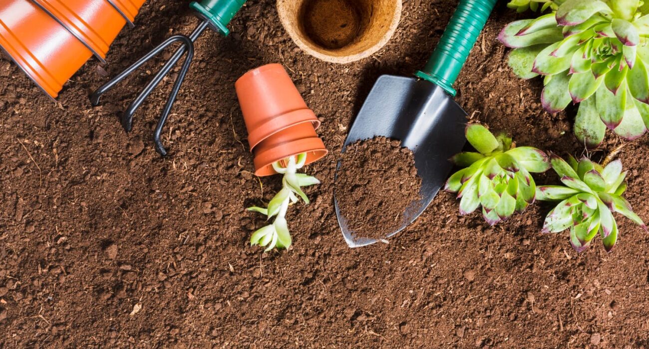 Signs Your Garden Needs Fresh Mulch on the Gold Coast